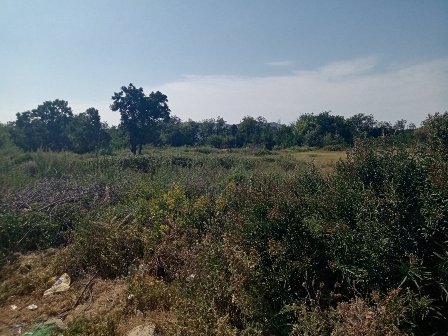 Commercial Property for Sale in Brandfort Free State